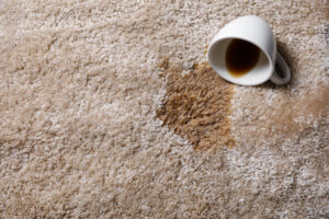 Carpet Stain