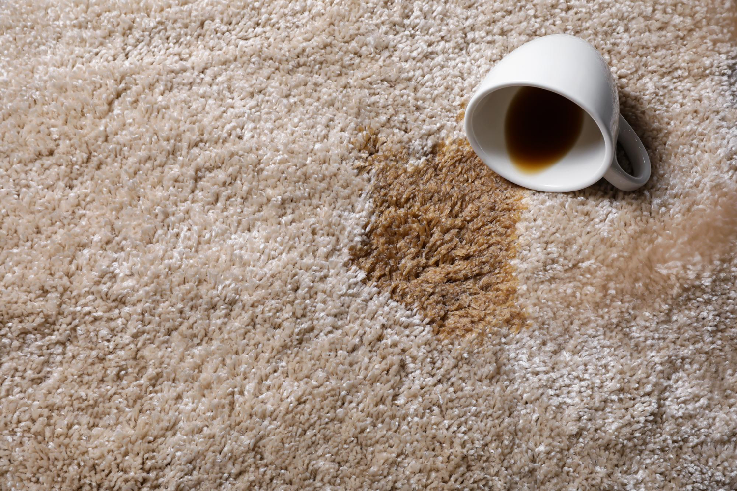 Carpet Stain