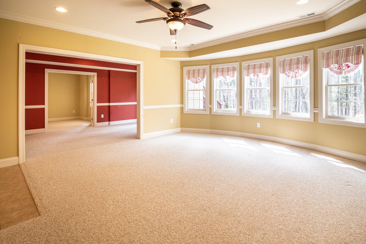 carpet cleaning