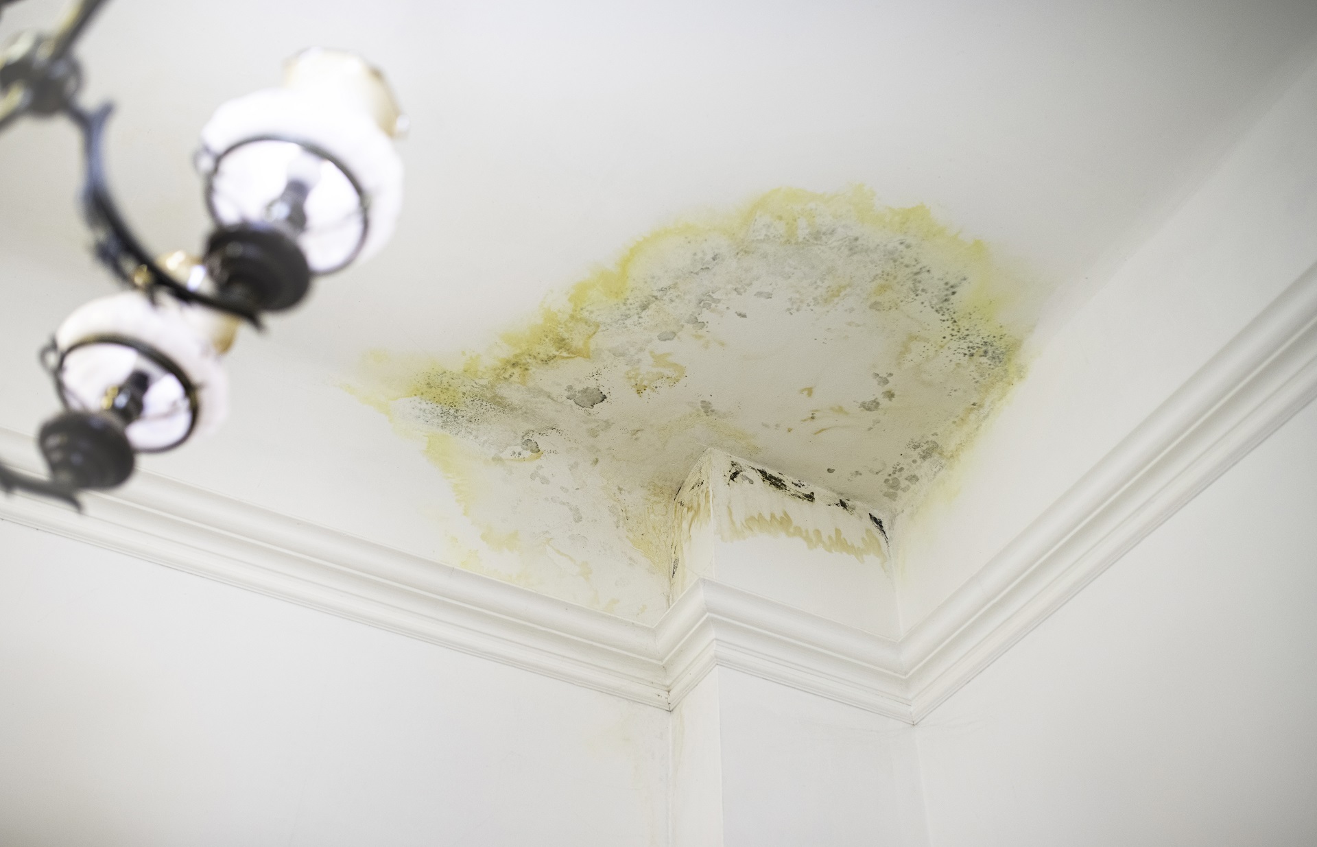 ceiling water spot